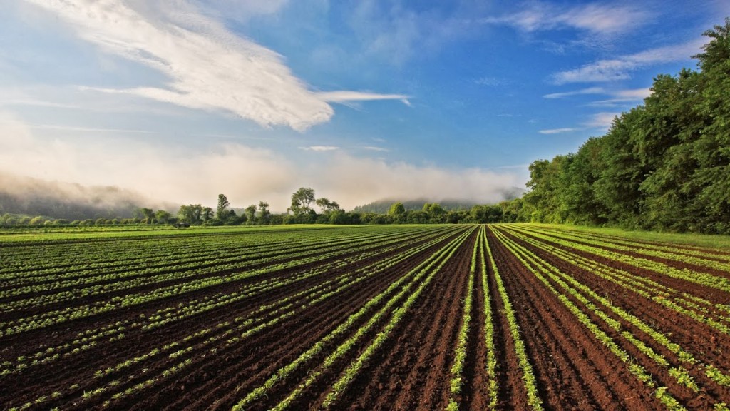 NEW! Tour the Gaia Herb Farm with Ric Scalzo and Mary Bove on Monday ...